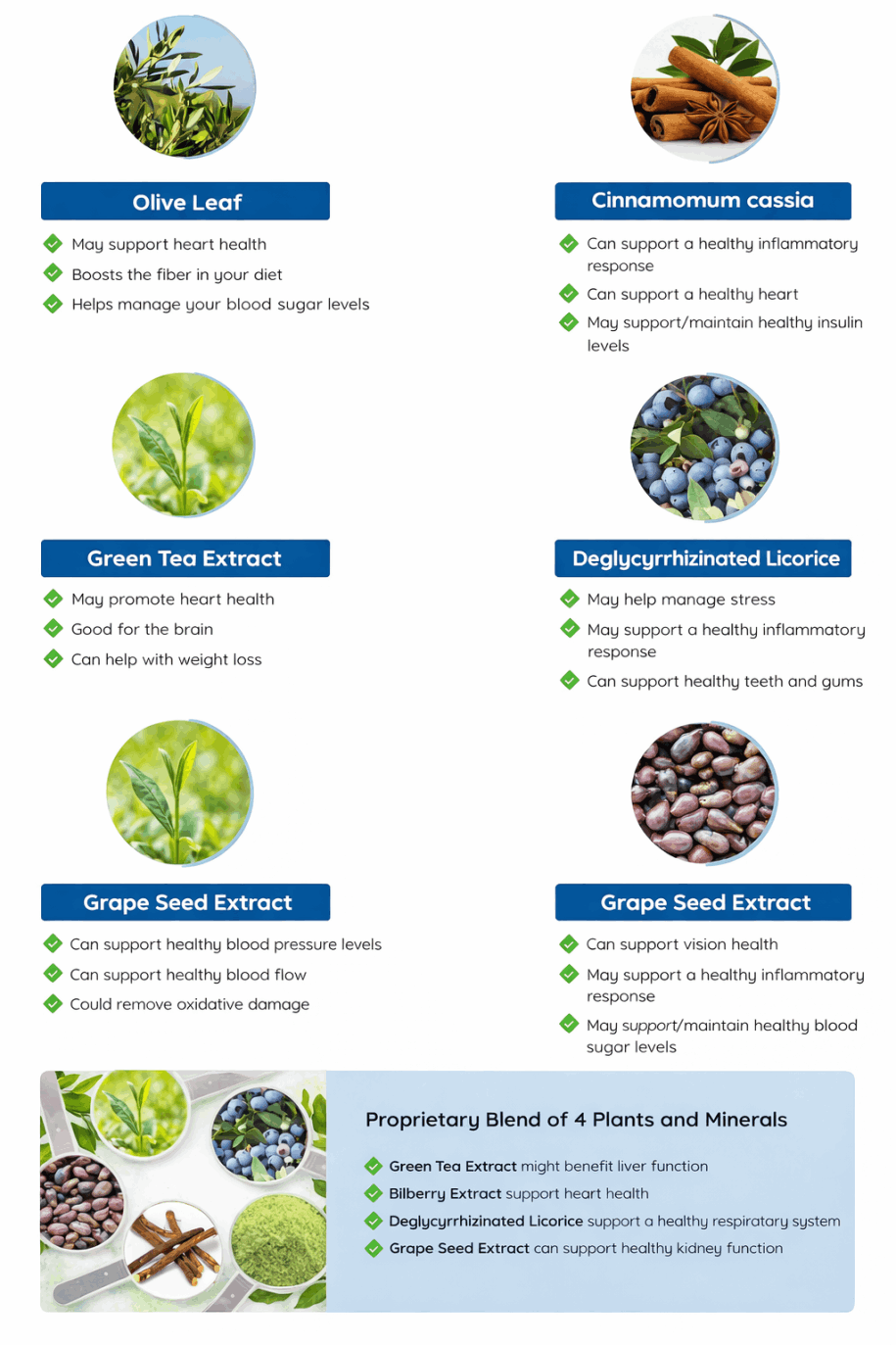 Olive leaf extract in Neuro Serge brain support supplement formula