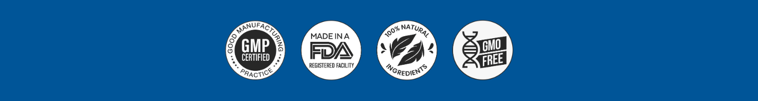 United States manufacturing and quality compliance icon